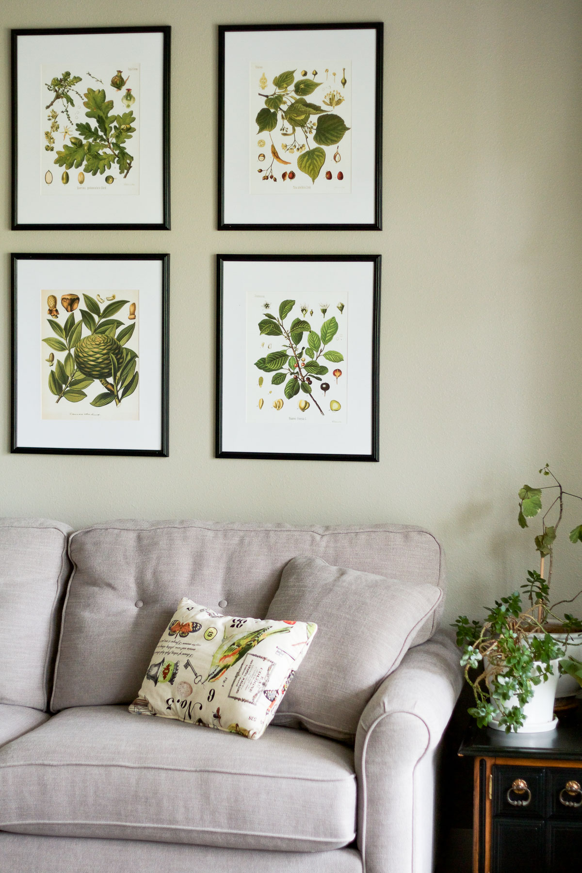 A naturalist living room makeover for the Spring 2017 One Room Challenge | botanical prints, neutrals, and lots of plants