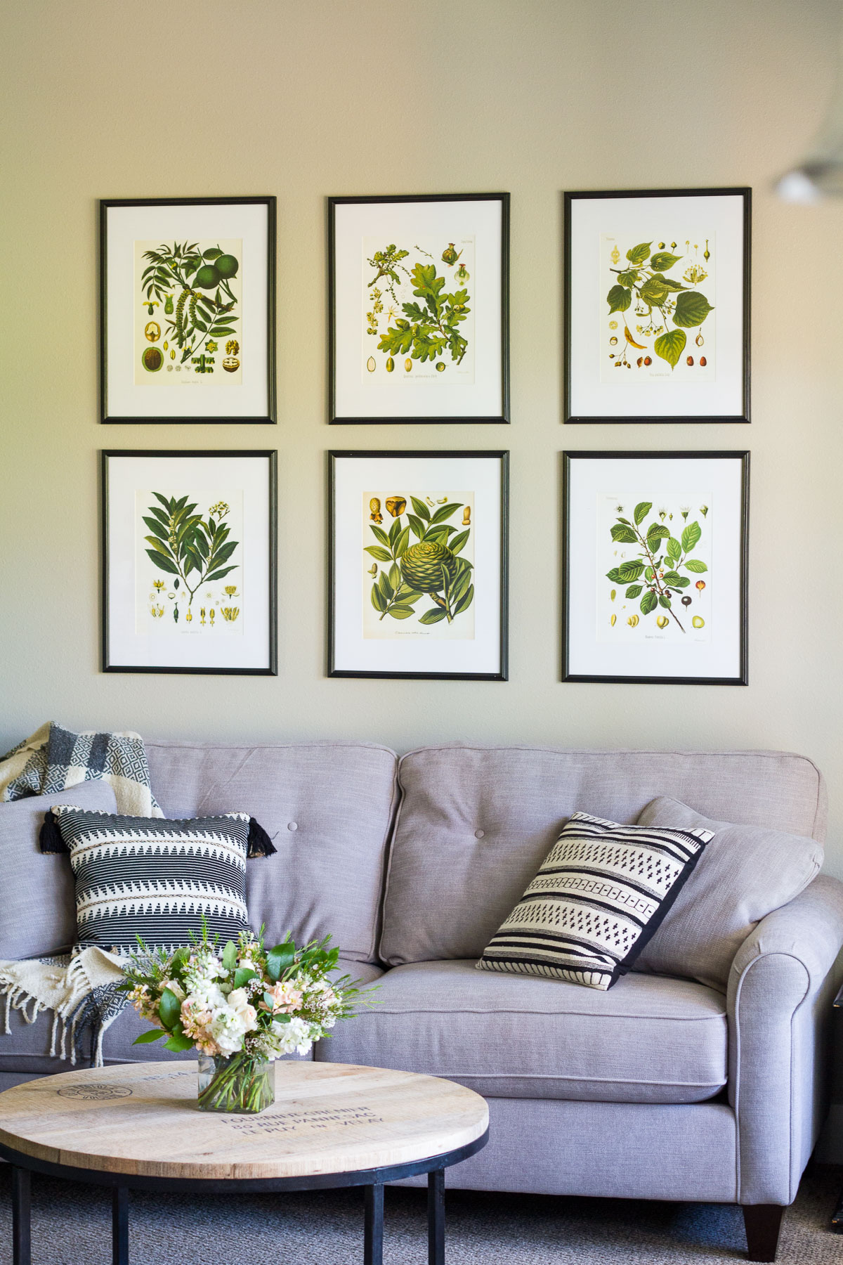 Botanical prints arranged in a grid above a gray couch; black and white accent pillows