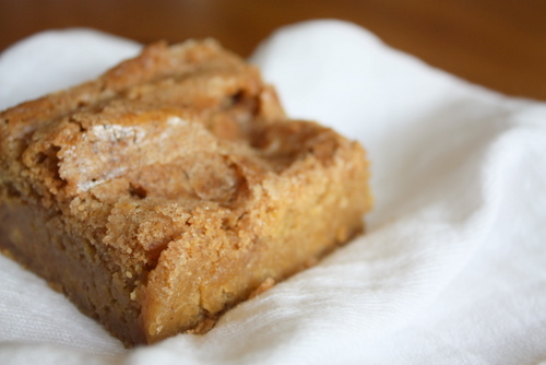 Buttery blondie bars with a cinnamon sugar swirl