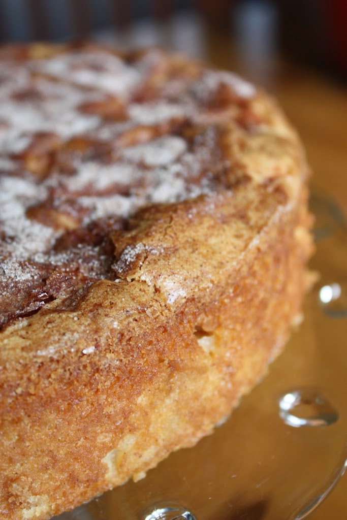 Fresh Apple Cake {No Mixer Required + Video} - Miss in the Kitchen