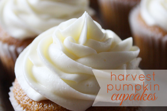 A delicious, classic pumpkin cupcake recipe with cream cheese frosting.