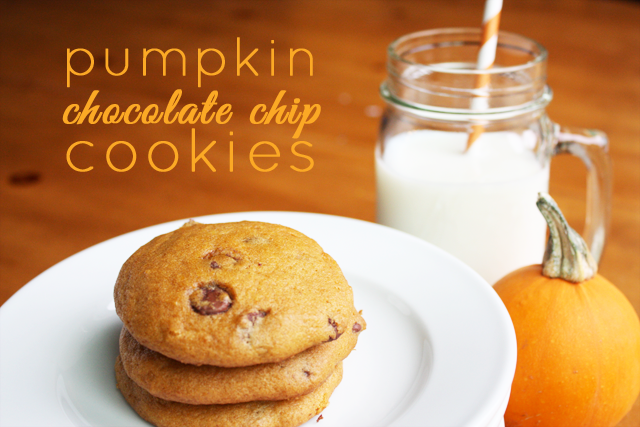 These super soft pumpkin chocolate chip cookies are a delicious Fall classic!