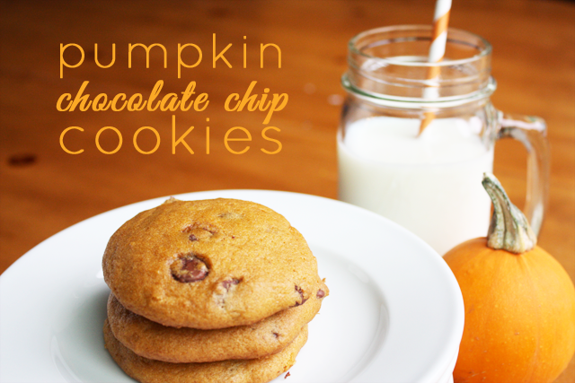 super soft pumpkin chocolate chip cookies lulu the baker super soft pumpkin chocolate chip cookies