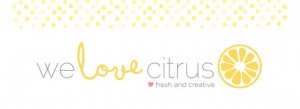 banner_withdots_orange_center