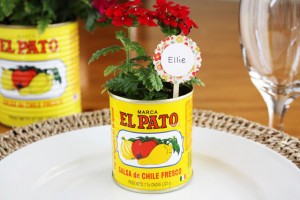 fiesta-flower-favors-cinco-de-mayo