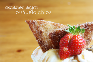 cinnamon-sugar-bunuelo-tortilla-chips-1