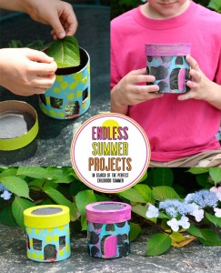 Endless summer projects bug houses