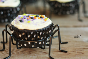 dark-chocolate-cupcakes-fresh-orange-buttercream-2