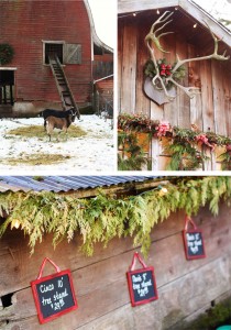 northern-lights-christmas-tree-farm-1