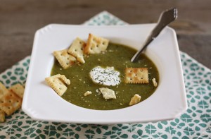 garden-zucchini-potage