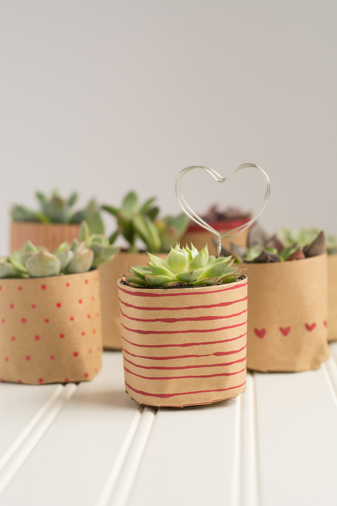 DIY Plant Bag Pot Cover