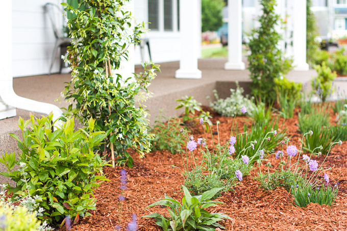 How to Update Landscaping  