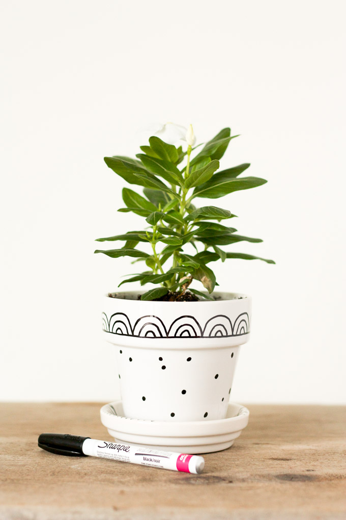 Graphic Hand-Painted Flower Pots - Lulu the Baker