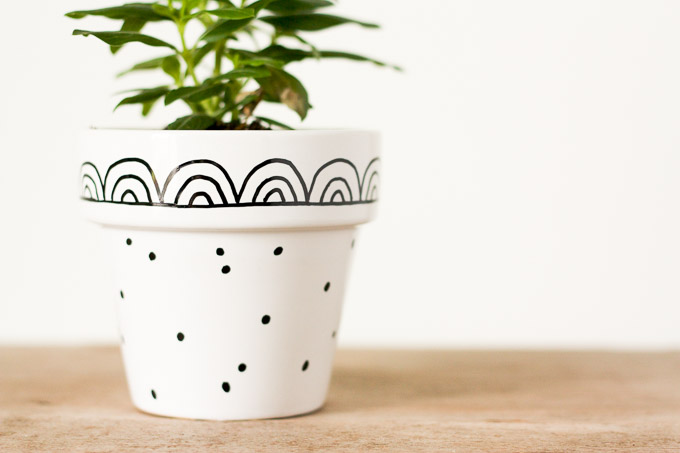 cute painted plant pots