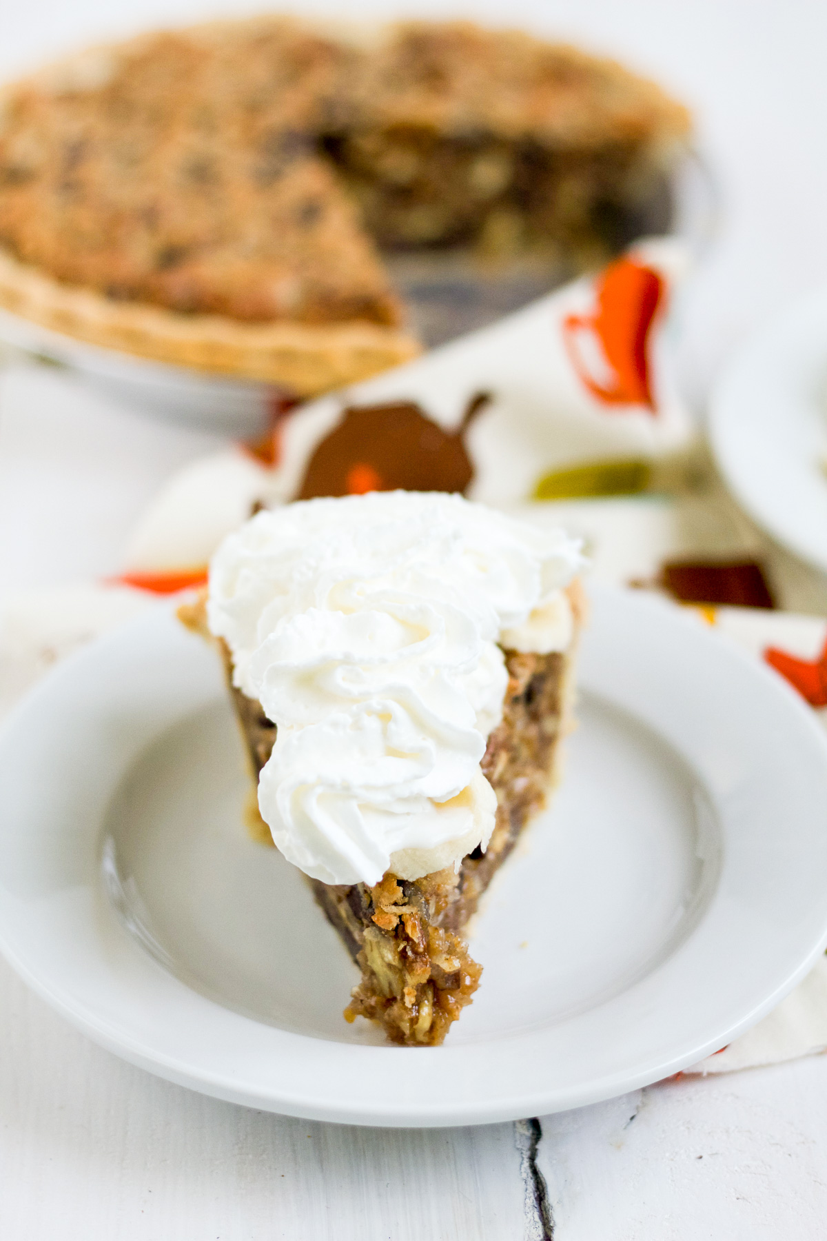 Coconut, chocolate chips, pecans, and graham crackers make this pie delicious!