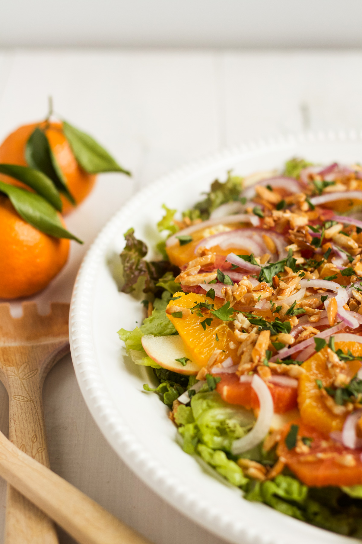 This salad is a family favorite! Tender red leaf lettuce salad is topped with thinly sliced apples, fresh oranges, red onions, and homemade sugared almonds, with an herby, from-scratch vinaigrette to top it all off.