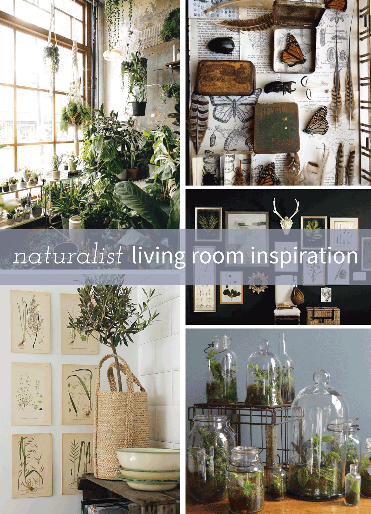 Naturalist inspiration for a living room makeover.