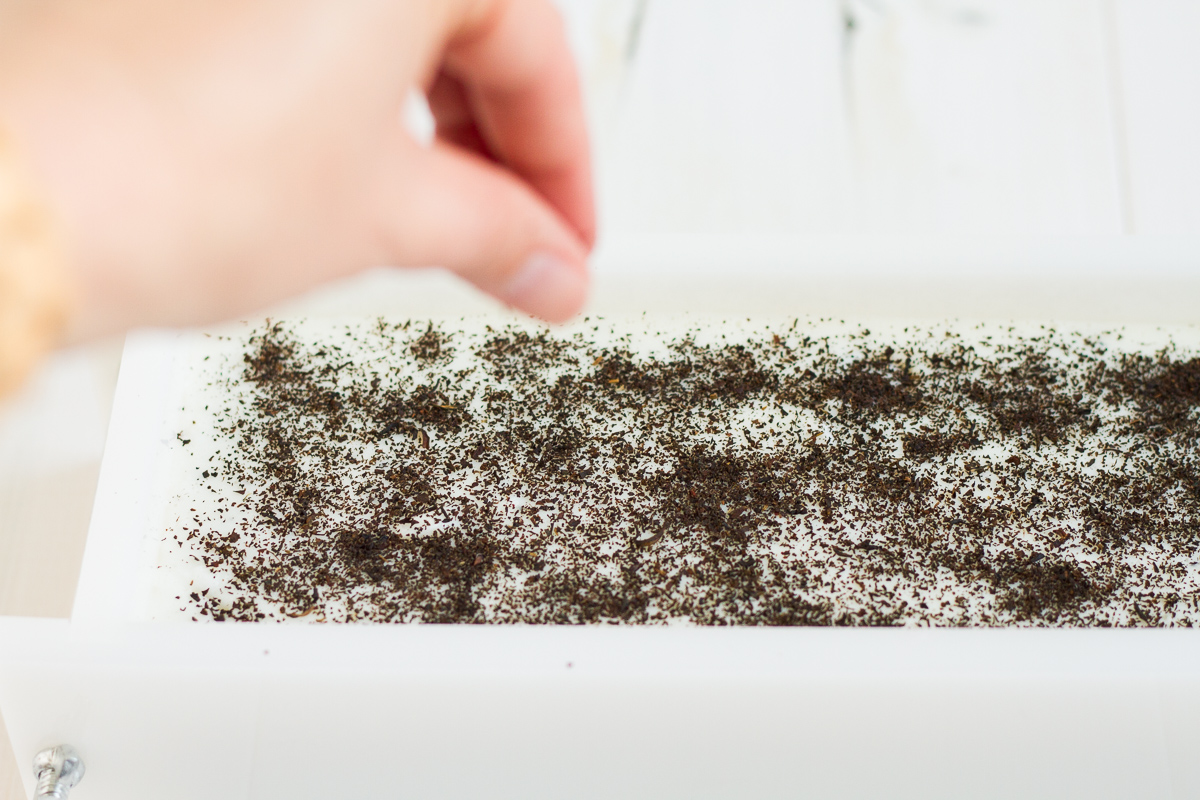 Sprinkling more earl grey tea on top of a batch of homemade soap before it sets up.