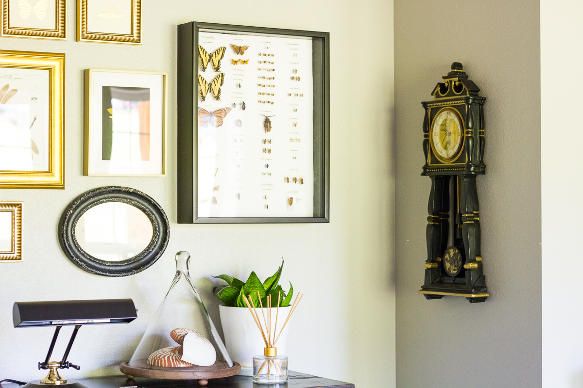 Nautilus shells and a snake plant on top of a black upright piano.