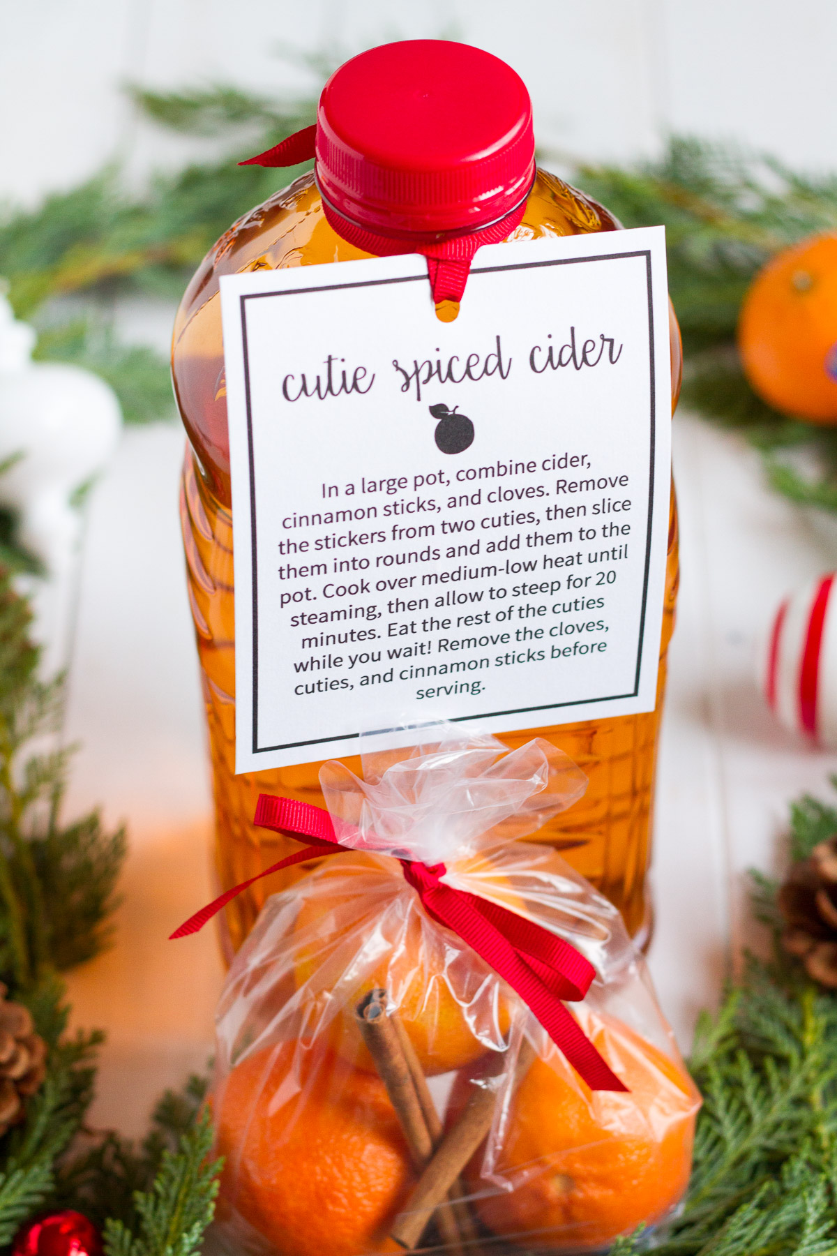 These easy spiced cider with cinnamon, cloves, and cuties is a perfect gift to put together for friends, neighbors, and teachers!