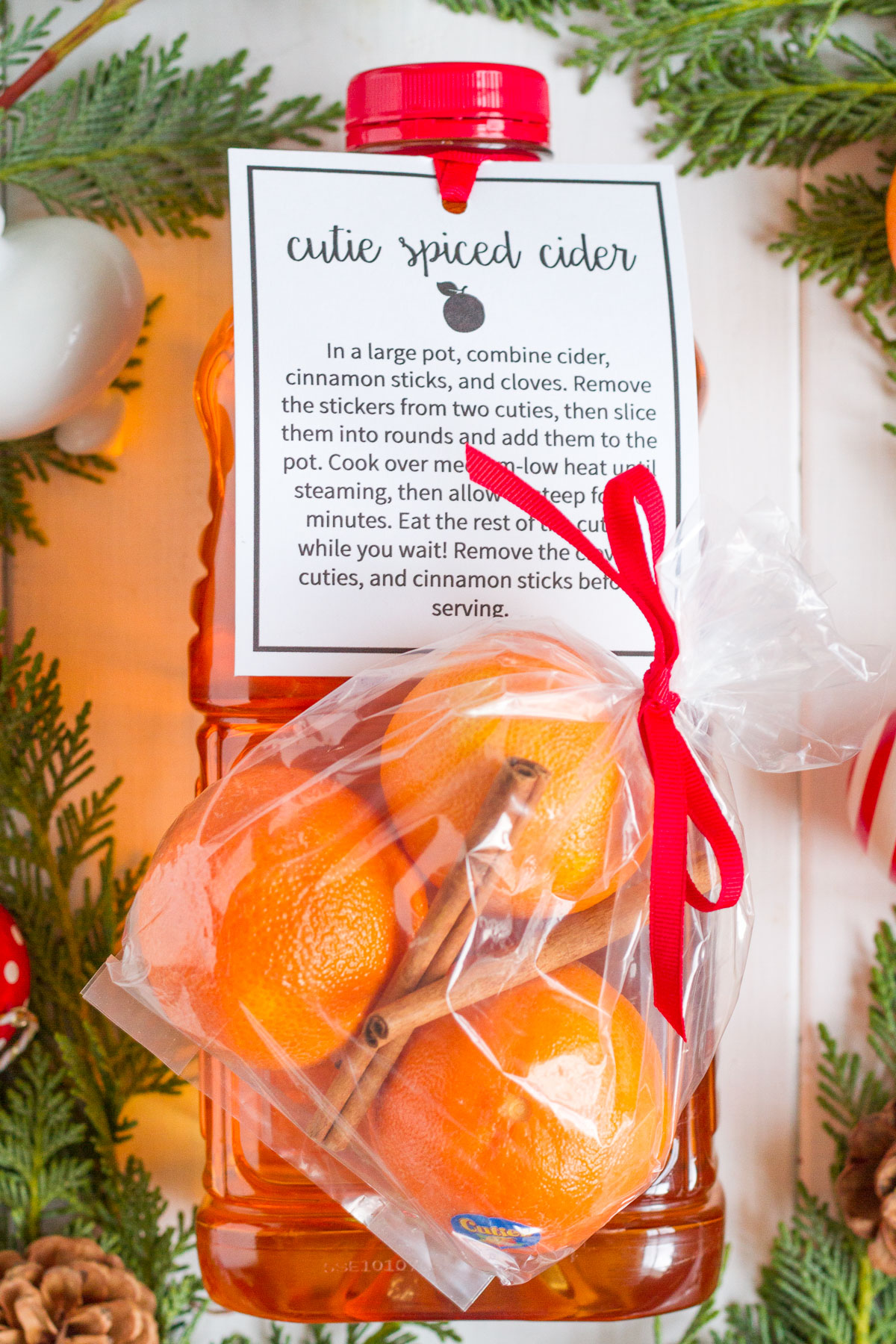 These easy spiced cider with cinnamon, cloves, and cuties is a perfect gift to put together for friends, neighbors, and teachers!