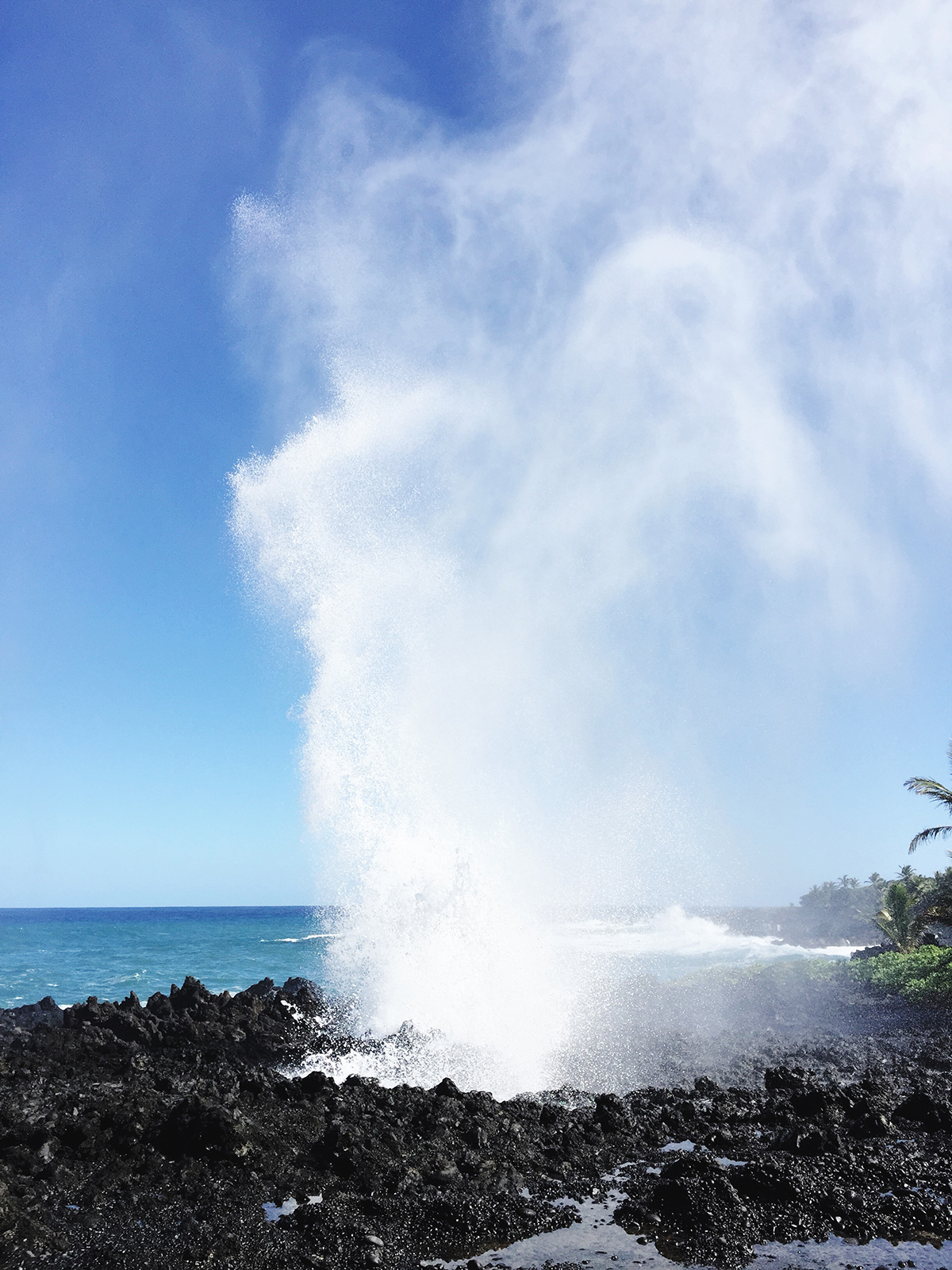 Need to know where to eat and what to do on Maui? Read my recommendations on the blog!