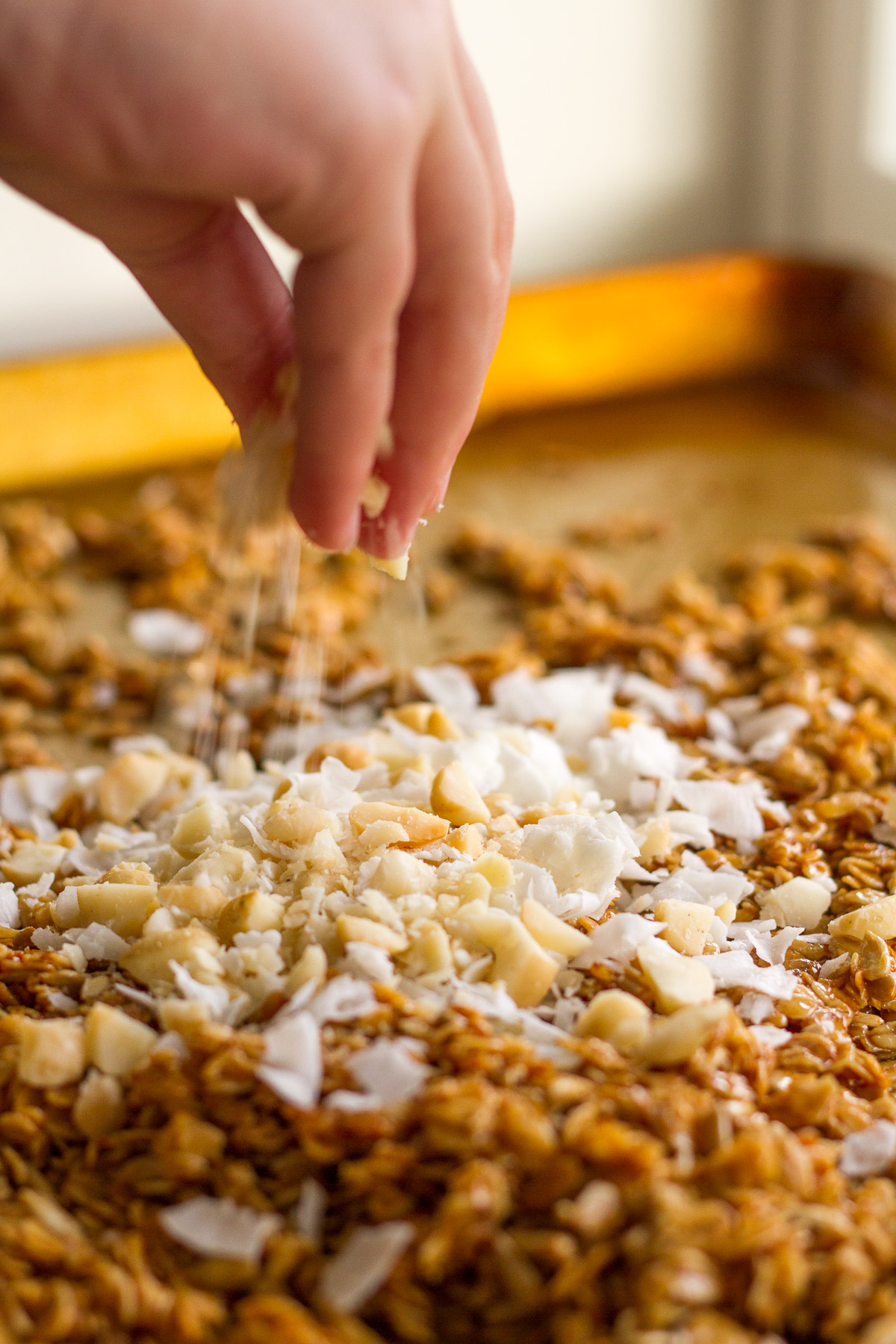 Crunchy homemade tropical granola with oats, sunflower seeds, macadamia nuts, coconut chips, dried tropical fruits likes pineapple, mango, and papaya, lightly sweetened with honey and brown sugar.