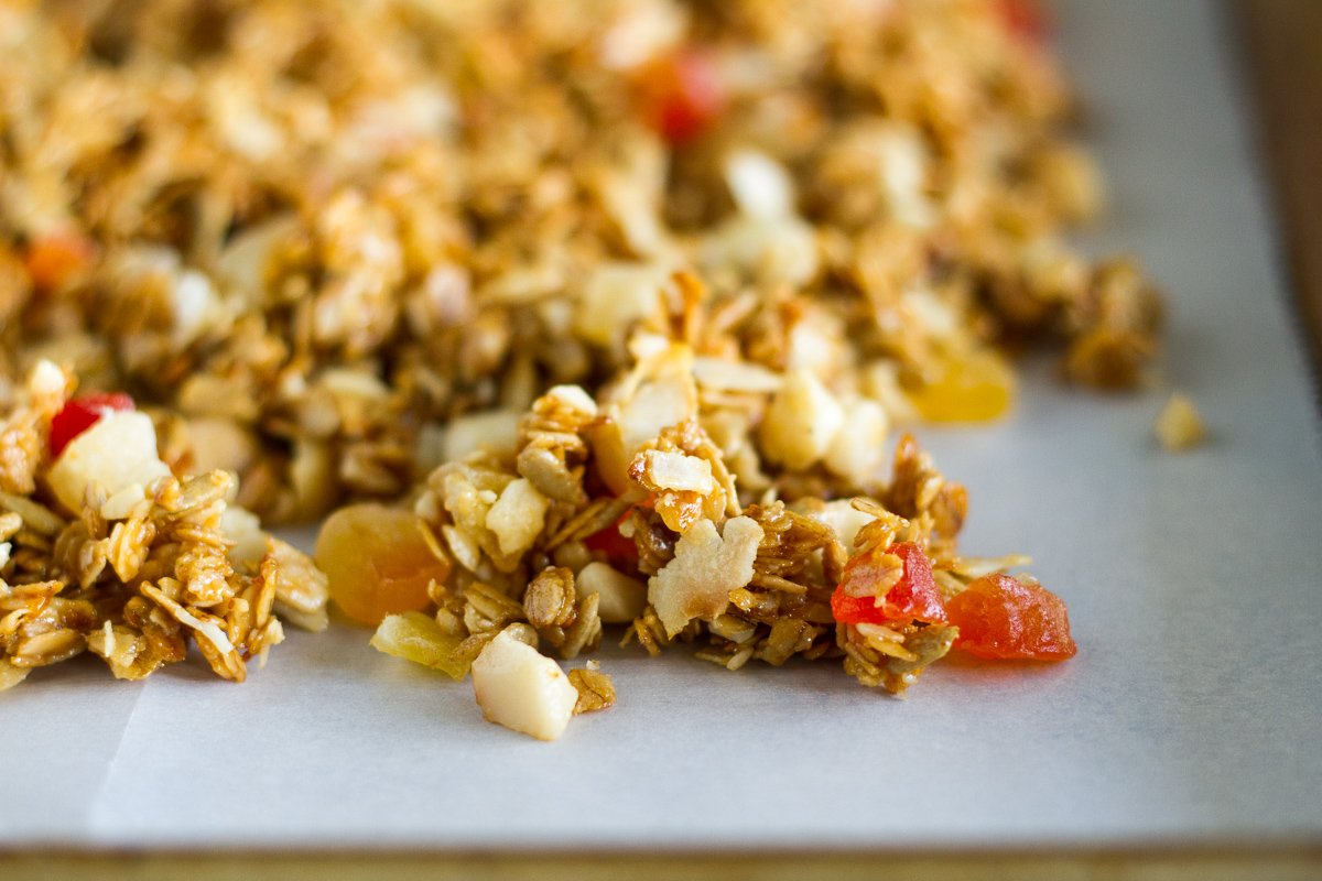 Crunchy homemade tropical granola with oats, sunflower seeds, macadamia nuts, coconut chips, dried tropical fruits likes pineapple, mango, and papaya, lightly sweetened with honey and brown sugar.