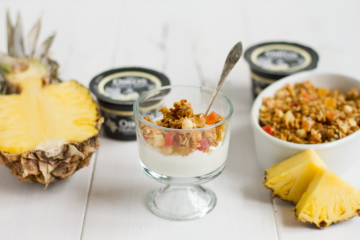 Crunchy homemade tropical granola with oats, sunflower seeds, macadamia nuts, coconut chips, dried tropical fruits likes pineapple, mango, and papaya, lightly sweetened with honey and brown sugar.