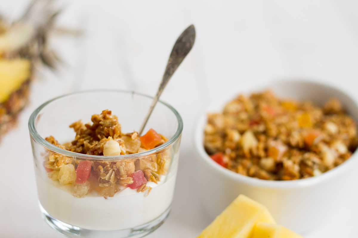 Crunchy homemade tropical granola with oats, sunflower seeds, macadamia nuts, coconut chips, dried tropical fruits likes pineapple, mango, and papaya, lightly sweetened with honey and brown sugar.