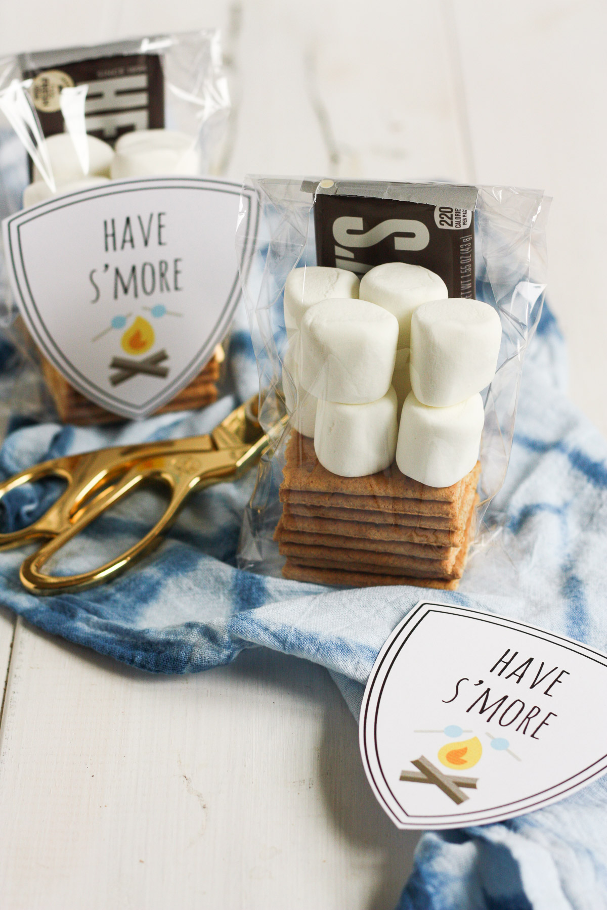 spread s'more love this summer by making these cute DIY s'mores kits for friends, family, and neighbors!