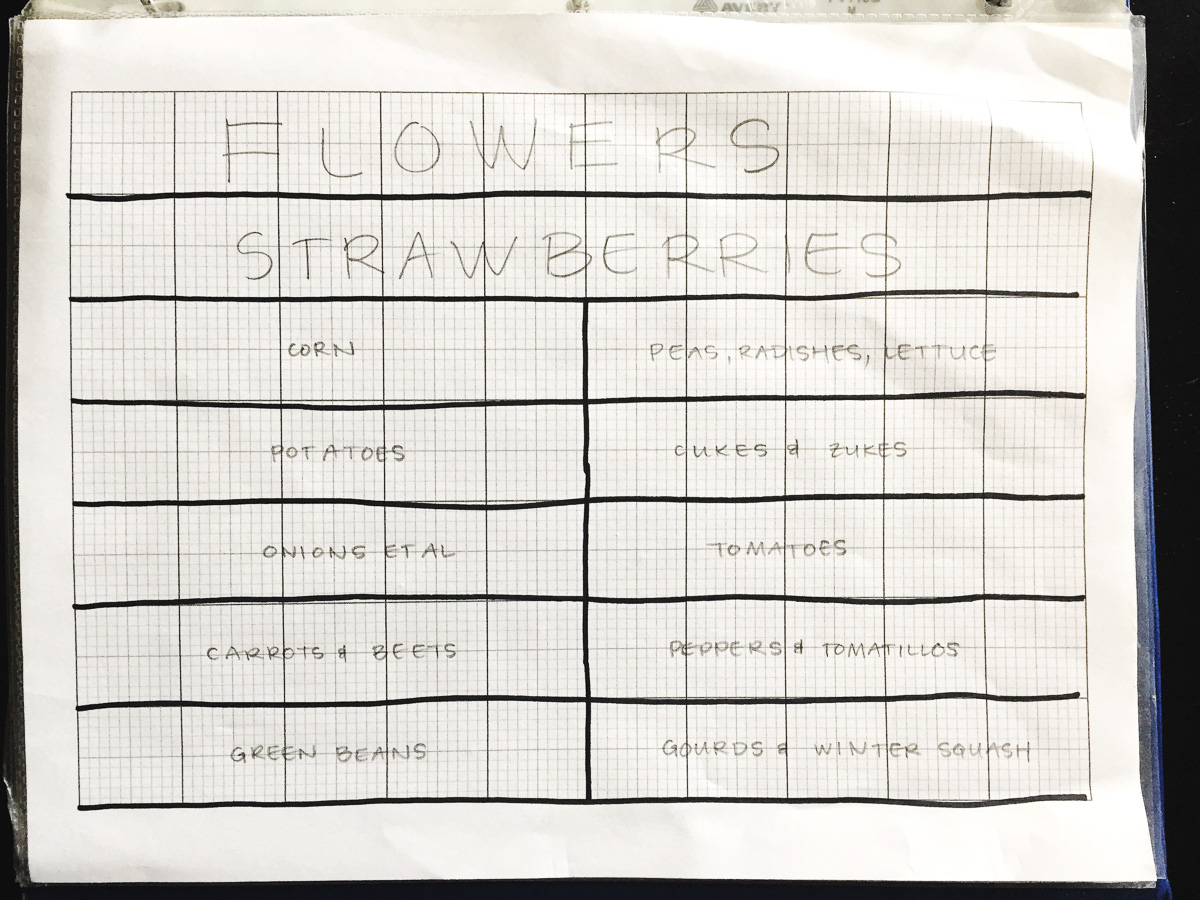 How we designed our backyard vegetable, fruit, and cut flower garden with rows of raised beds