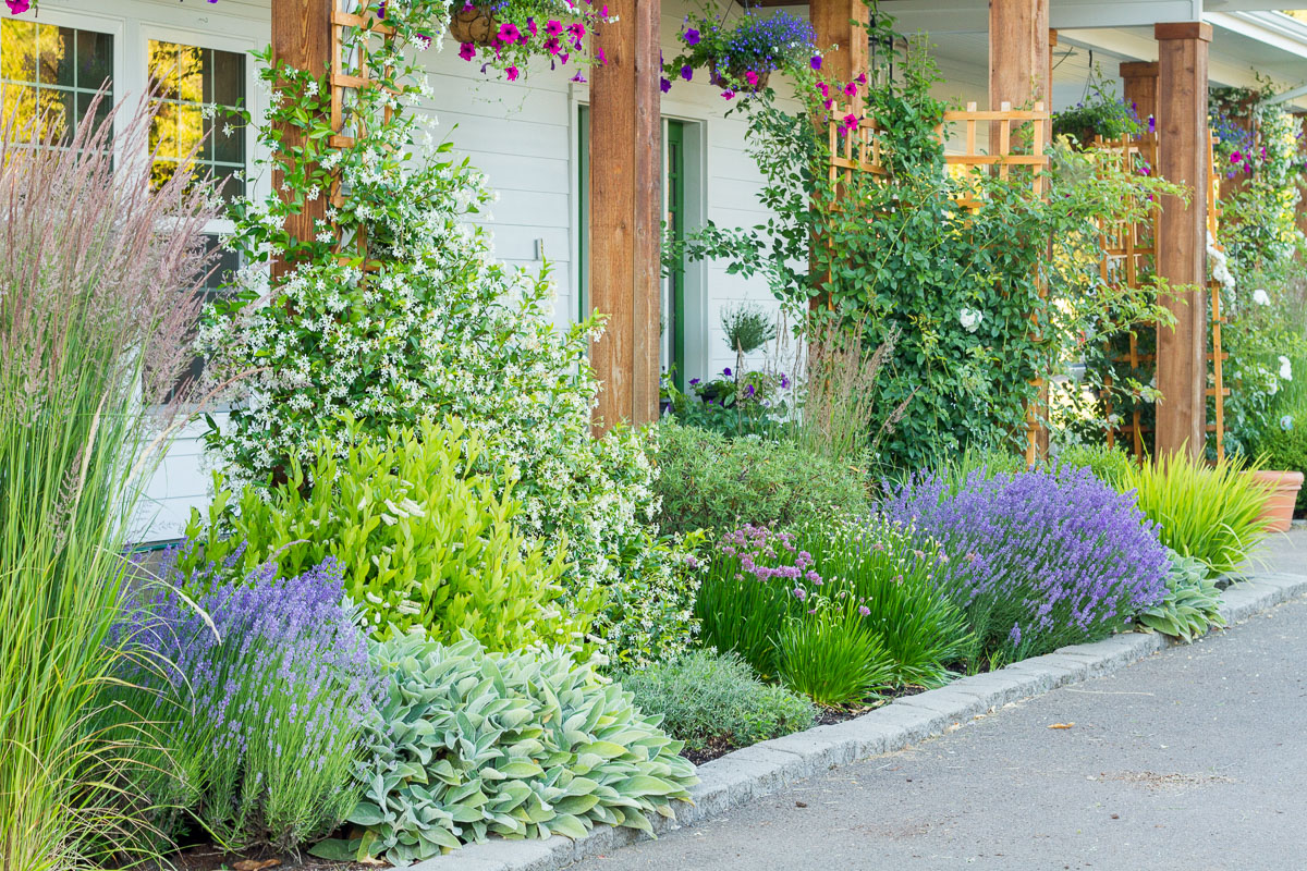 mediterranean-inspired front yard landscape design