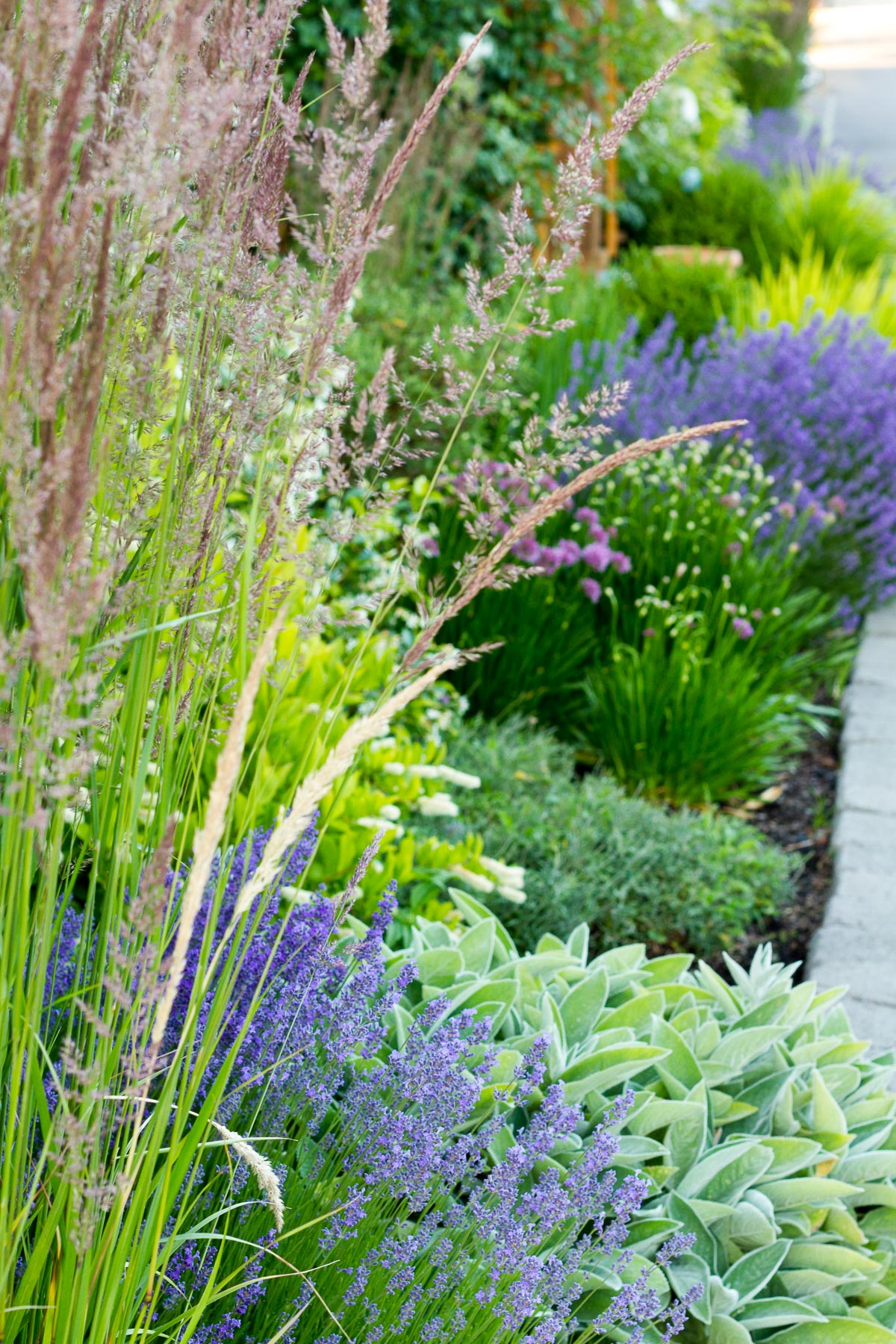 mediterranean-inspired front yard landscape design